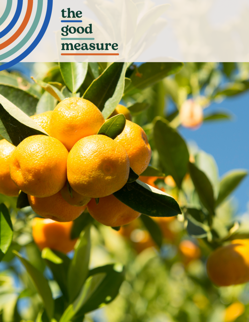 Guide to Year-End Giving for Nonprofits