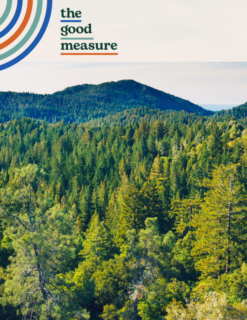 Impact Storytelling in the New B Corp Standards