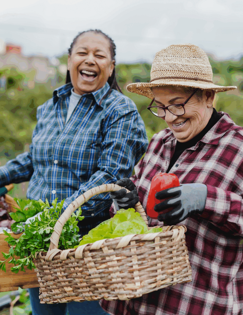 Transforming the Extraction Economy into a Living System of Regeneration