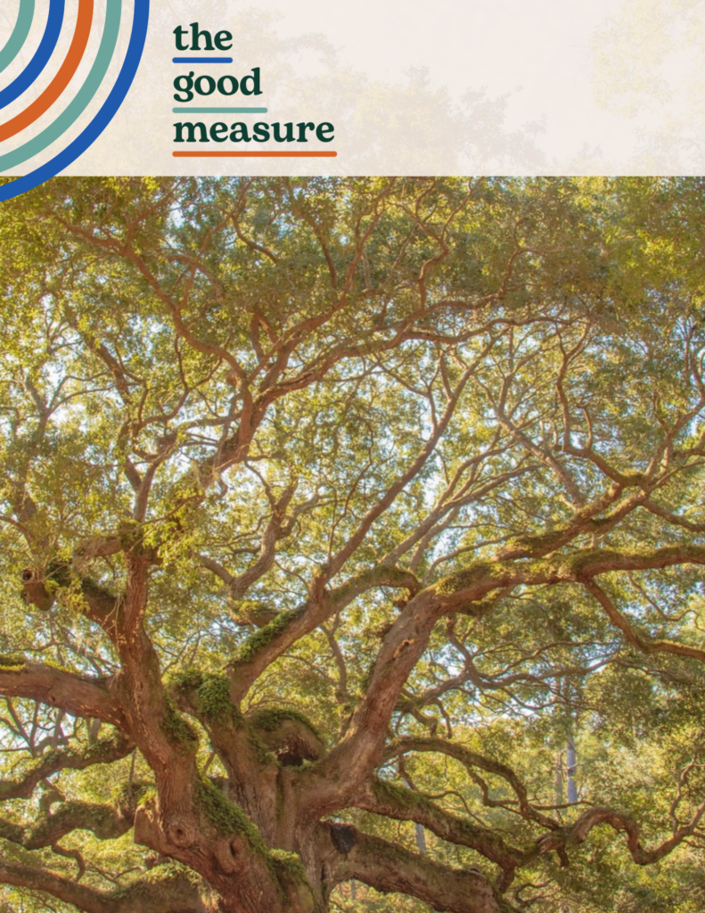 6 Reasons a Content-Based Marketing Strategy Is More Important Than Ever in 2026