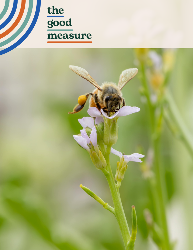 Creating a Strategic Brand Messaging Framework Part 1: Positioning Statement